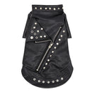 Black Rebel Pet Jacket